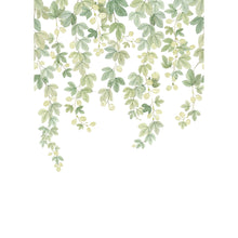Fruit Du Houblon Vert Feuillage Wonderwalls 3 Mural by Casadeco (200x280cm)