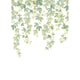 Fruit Du Houblon Vert Feuillage Wonderwalls 3 Mural by Casadeco (200x280cm)