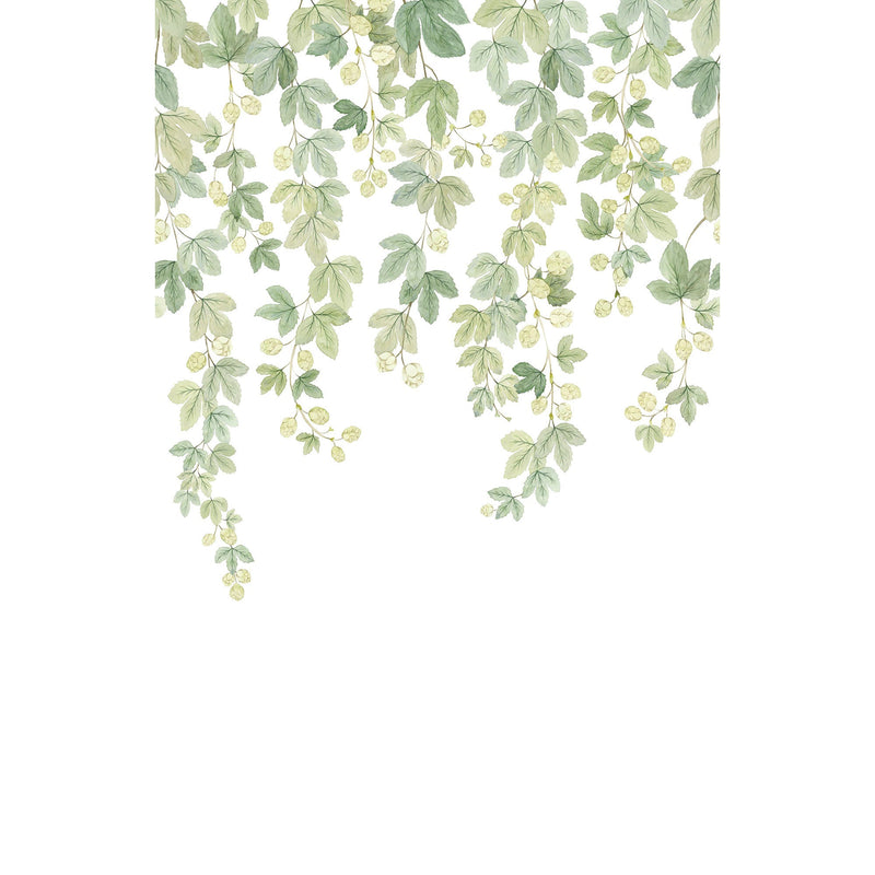 Fruit Du Houblon Vert Feuillage Wonderwalls 3 Mural by Casadeco (200x310cm)