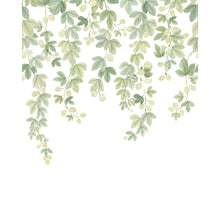 Fruit Du Houblon Vert Feuillage Wonderwalls 3 Mural by Casadeco (200x250cm)