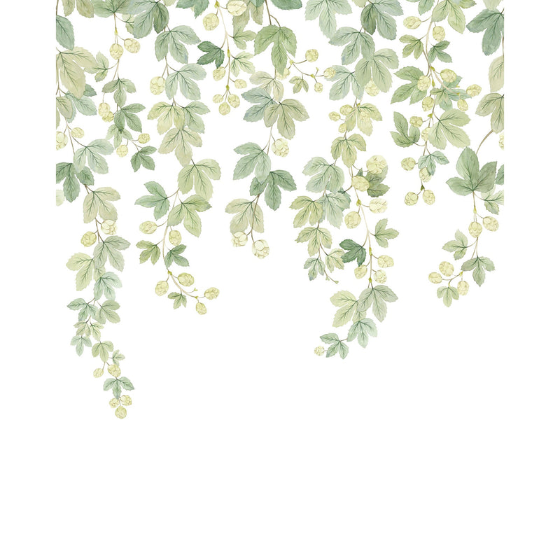 Fruit Du Houblon Vert Feuillage Wonderwalls 3 Mural by Casadeco (200x250cm)