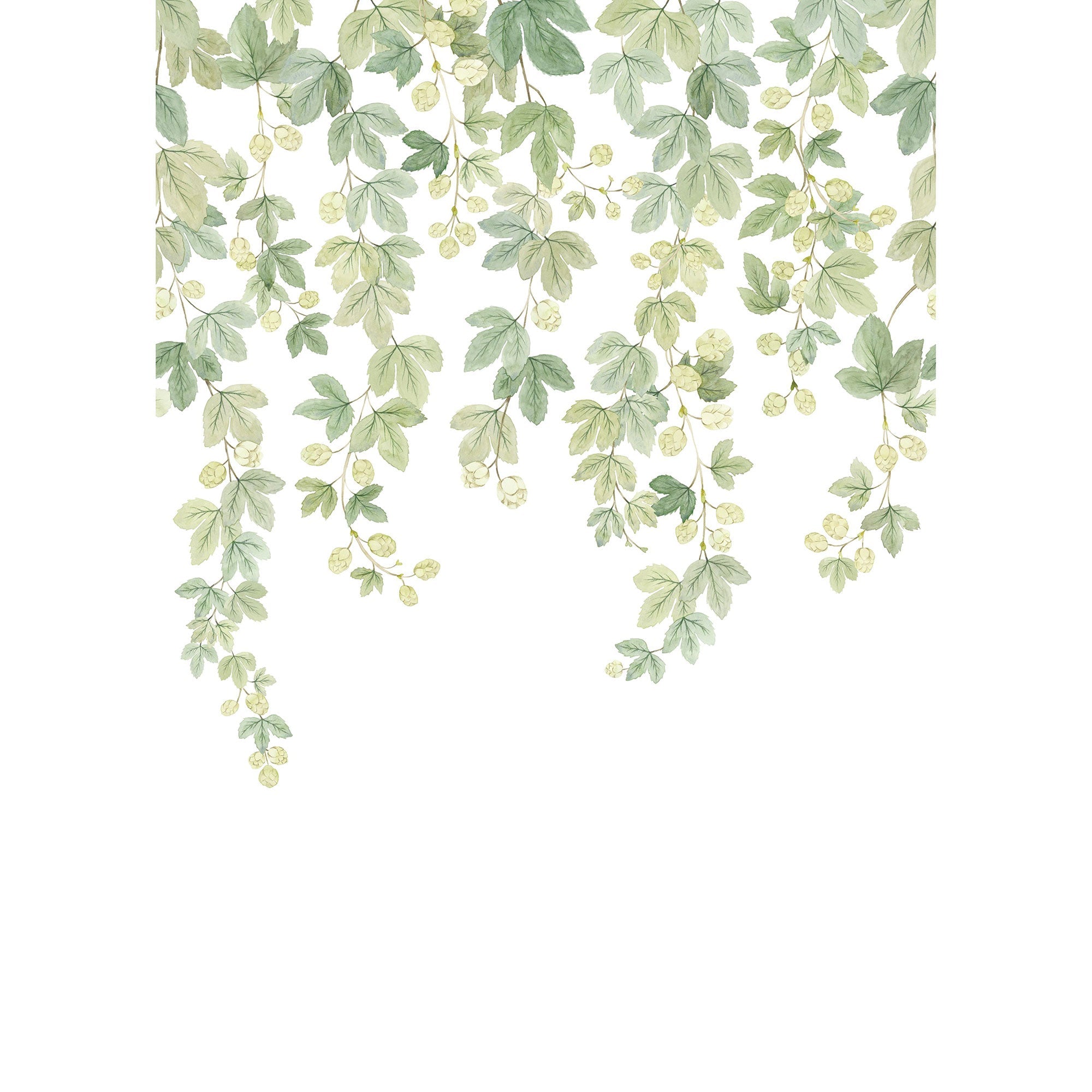 Fruit Du Houblon Vert Feuillage Wonderwalls 3 Mural by Casadeco (200x280cm)