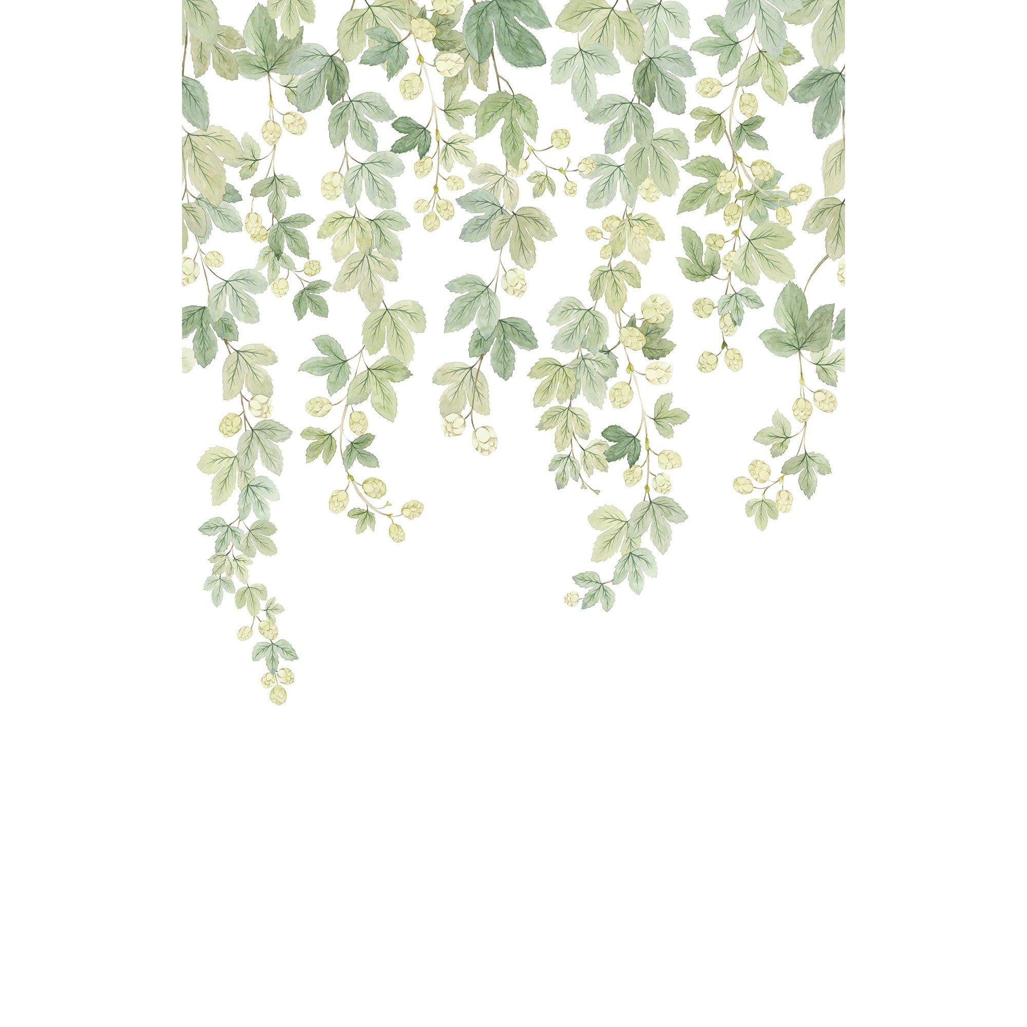 Fruit Du Houblon Vert Feuillage Wonderwalls 3 Mural by Casadeco (200x310cm)