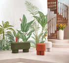 Eden Tropical Vert Palme Wonderwalls 3 Mural by Casadeco (400x280cm)