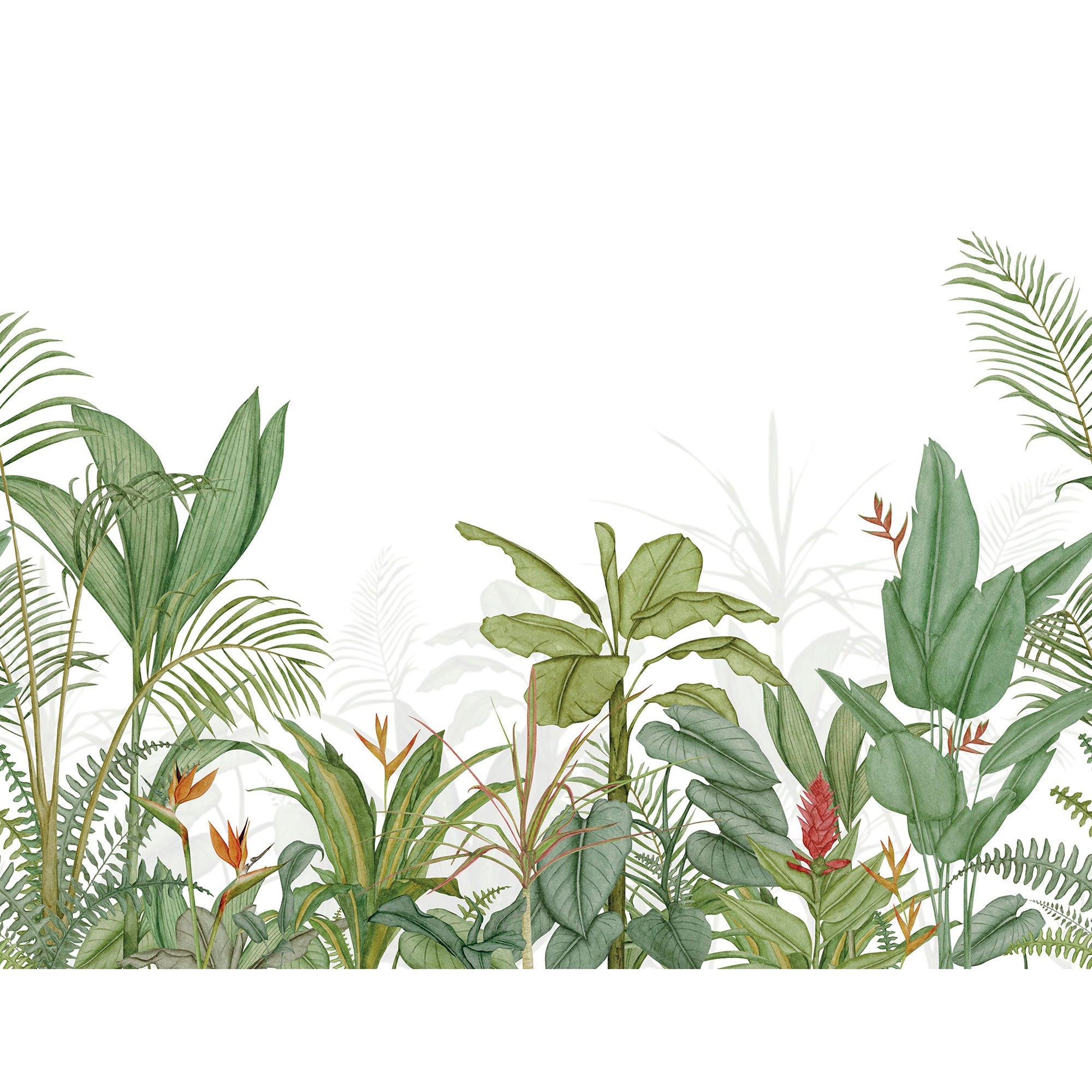 Eden Tropical Vert Palme Wonderwalls 3 Mural by Casadeco (400x310cm)