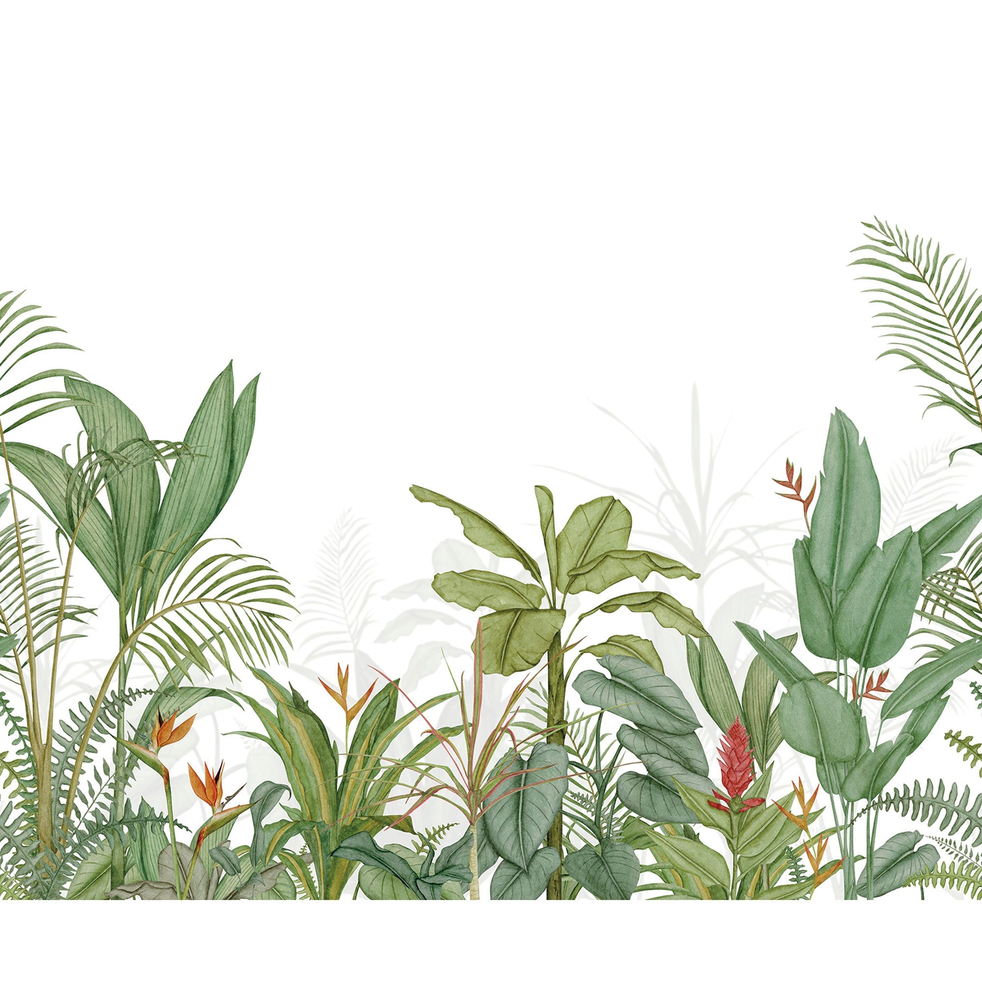 Eden Tropical Vert Palme Wonderwalls 3 Mural by Casadeco (300x250cm)