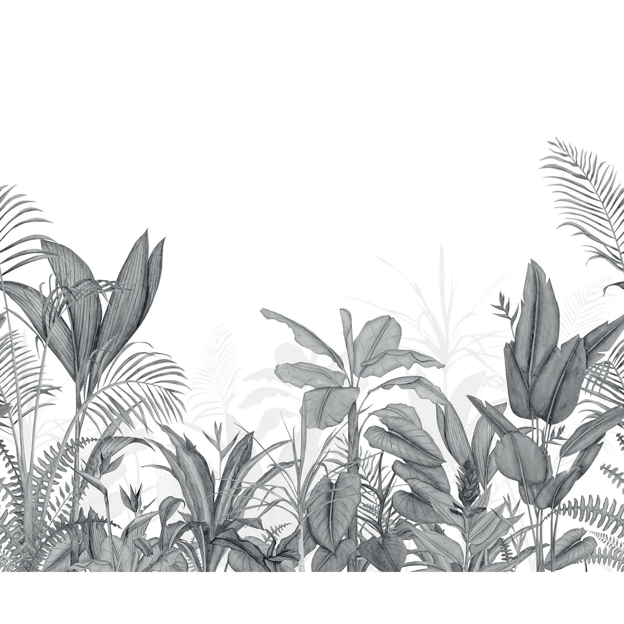 Eden Tropical Noir Wonderwalls 3 Mural by Casadeco (300x250cm)