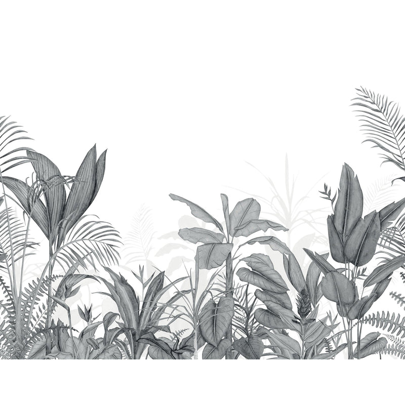 Eden Tropical Noir Wonderwalls 3 Mural by Casadeco (400x310cm)