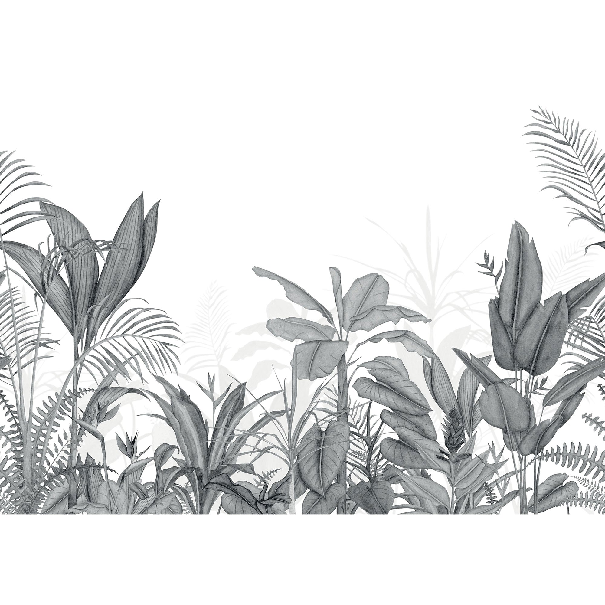 Eden Tropical Noir Fusain Wonderwalls 3 Mural by Casadeco (400x280cm)