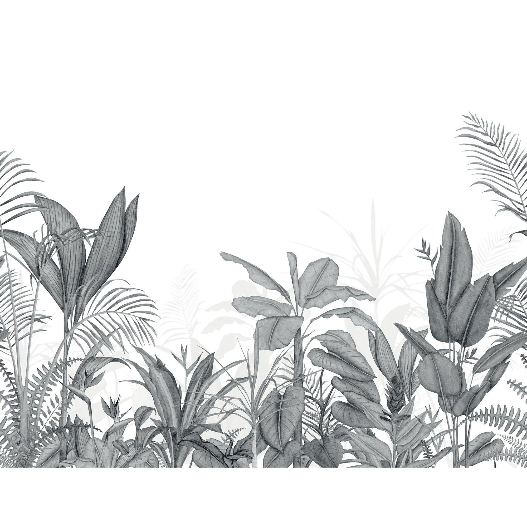 Eden Tropical Noir Fusain Wonderwalls 3 Mural by Casadeco (400x310cm)