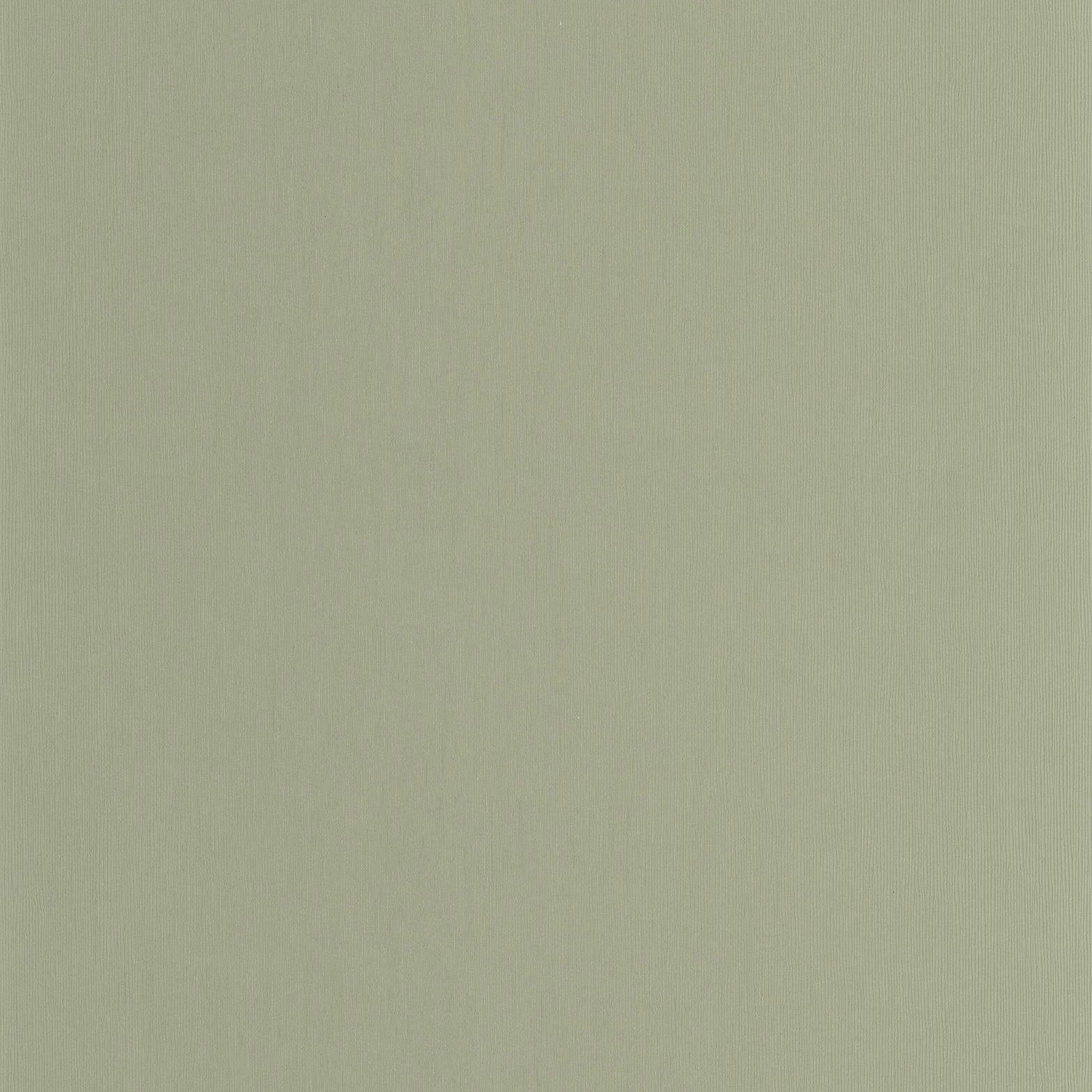 Vert Eucalyptus Hansan Wallpaper by Casadeco