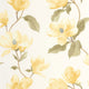 Brume De Magnolia Jaune Beurre Le Beau Jardin Wallpaper by Casadeco
