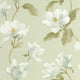 Brume De Magnolia Vert Amande Le Beau Jardin Wallpaper by Casadeco