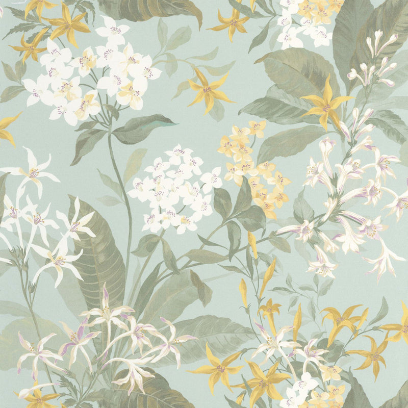 Songe De Jasmin Céladon Le Beau Jardin Wallpaper by Casadeco