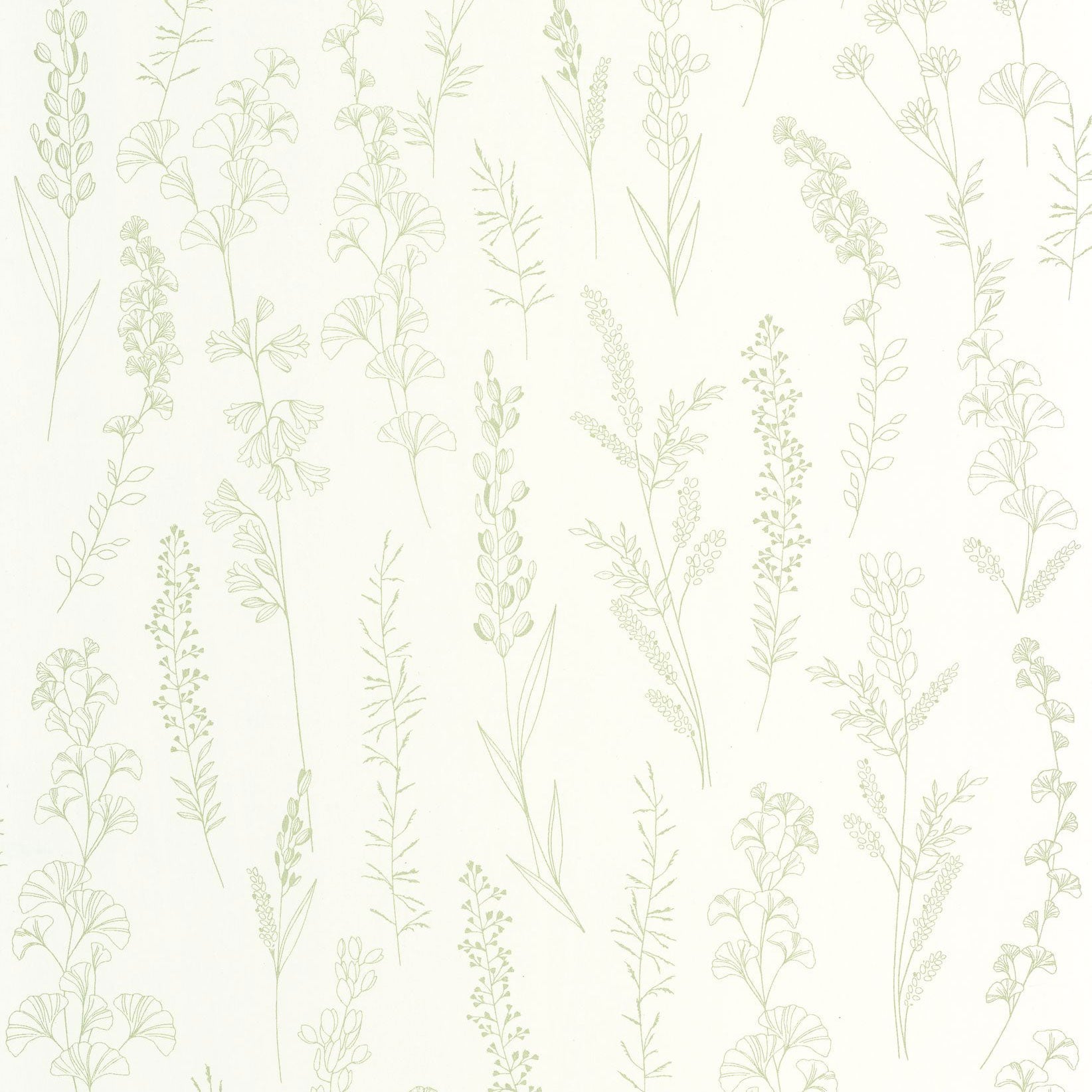 Carnet Botanique Vert Amande Le Beau Jardin Wallpaper by Casadeco