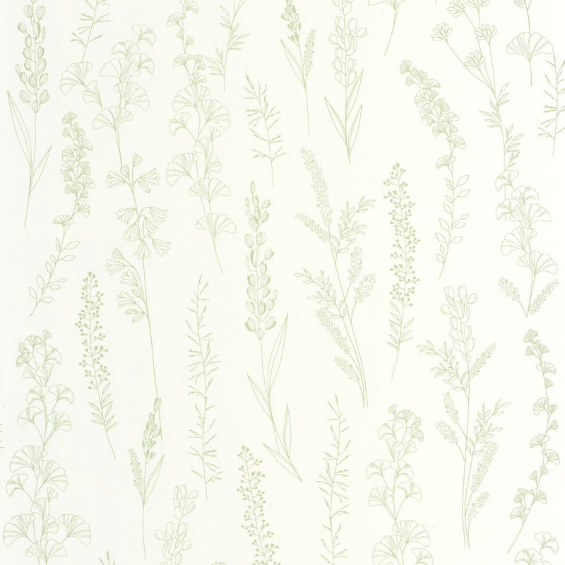 Carnet Botanique Vert Amande Le Beau Jardin Wallpaper by Casadeco
