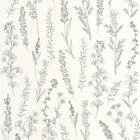 Carnet Botanique Noir Fusain Le Beau Jardin Wallpaper by Casadeco