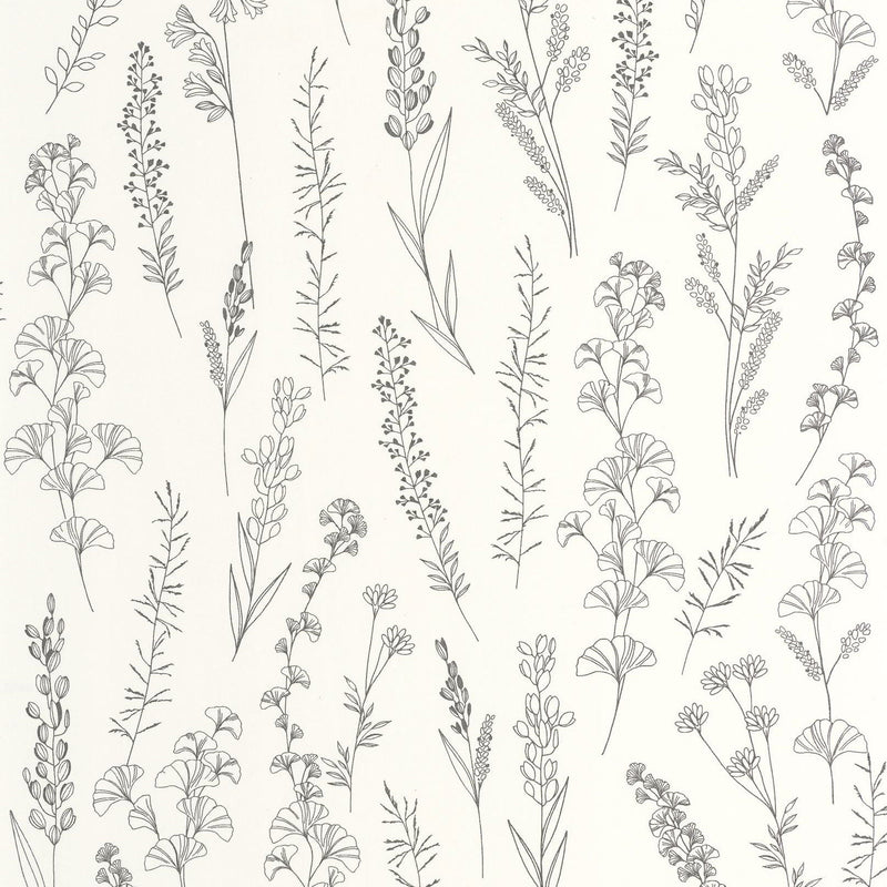 Carnet Botanique Noir Fusain Le Beau Jardin Wallpaper by Casadeco