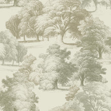 204701 Belvoir Forest Paul Moneypenny Wallpaper by Grandeco