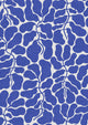 My Secret Garden Light Blue and White Graphics Wallpaper by Boråstapeter