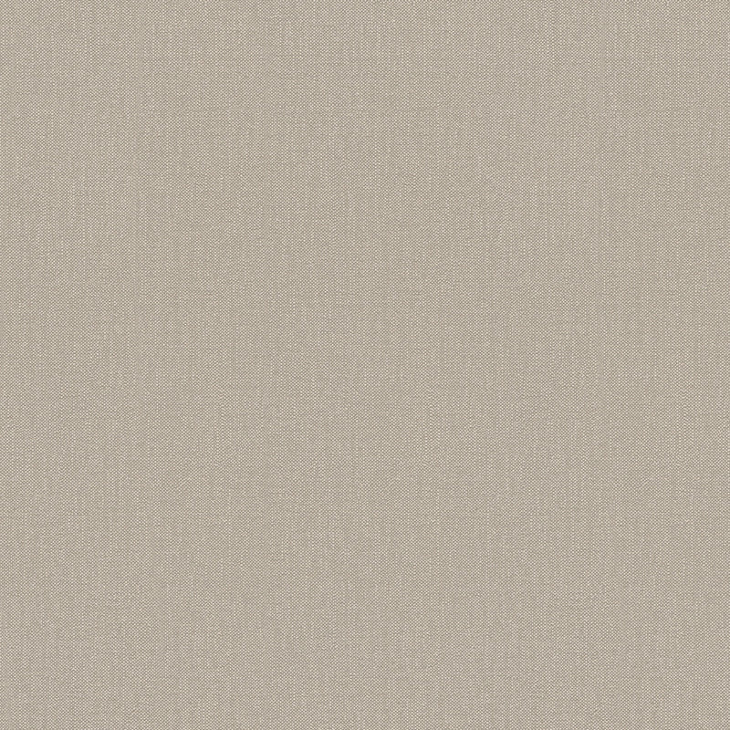 2117-12 Pure Elegance Wallpaper by A S Creation