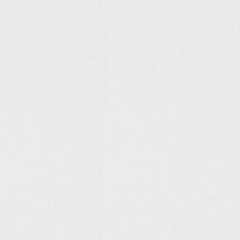 21179-8 Styleguide Colours 2024 Wallpaper by A S Creation