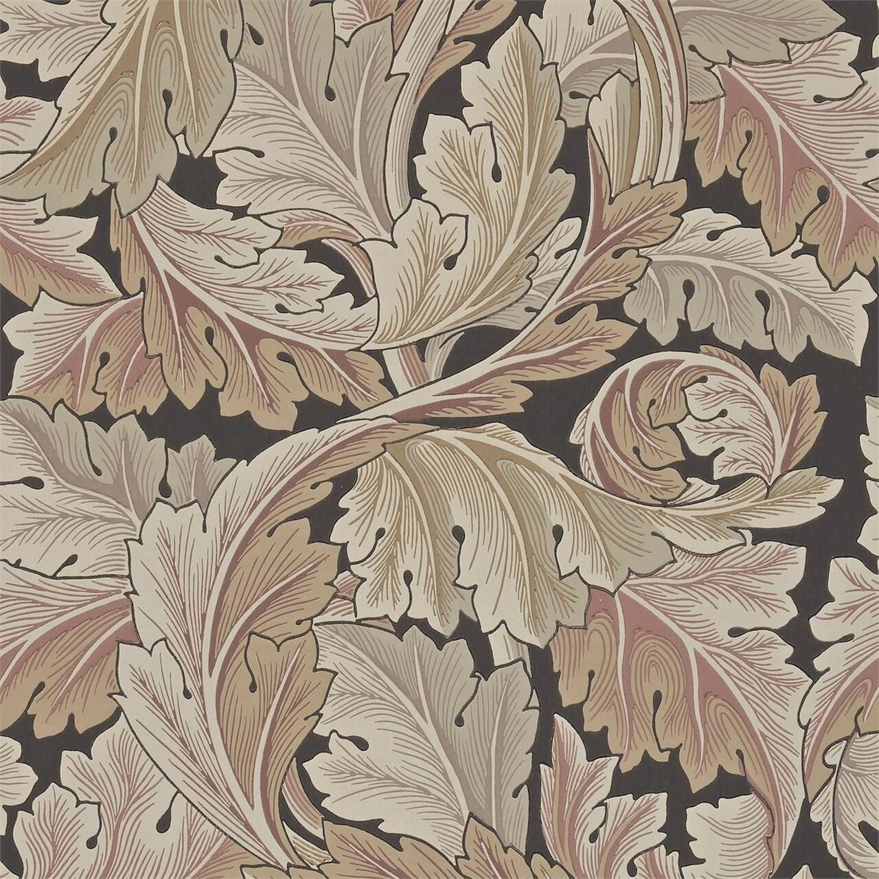 212551 ( DARW212551 ) Acanthus Archive II Wallpaper by Morris & Co
