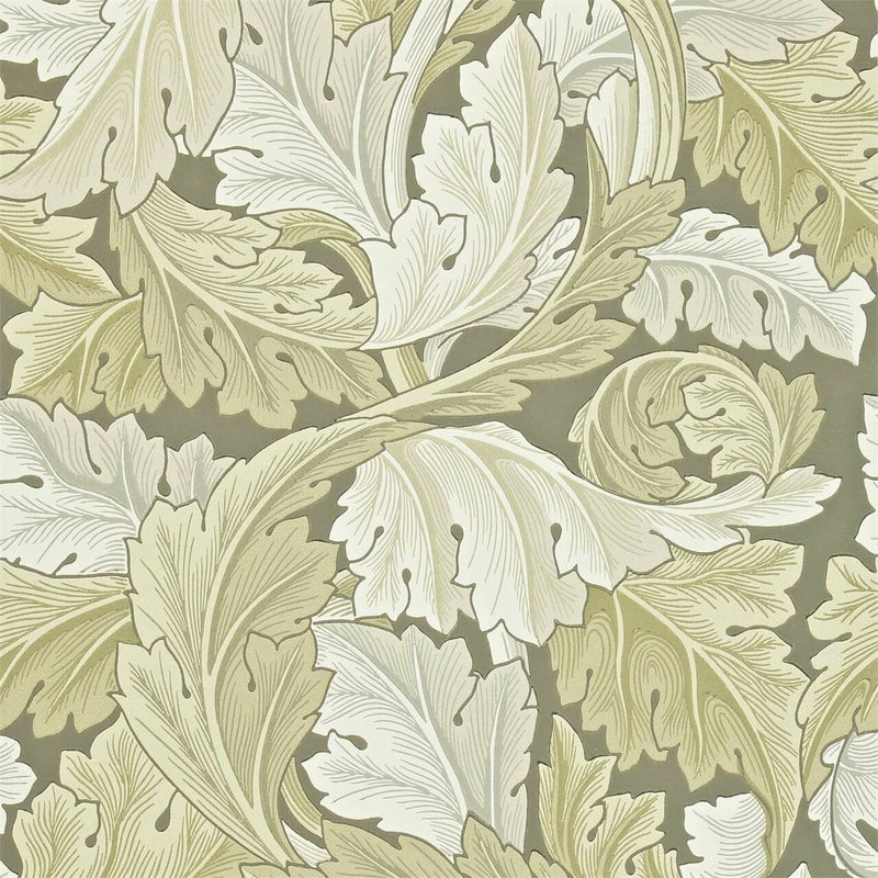 212552 ( DARW212552 ) Acanthus Archive II Wallpaper by Morris & Co
