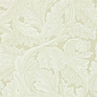 212554 ( DARW212554 ) Acanthus Archive II Wallpaper by Morris & Co