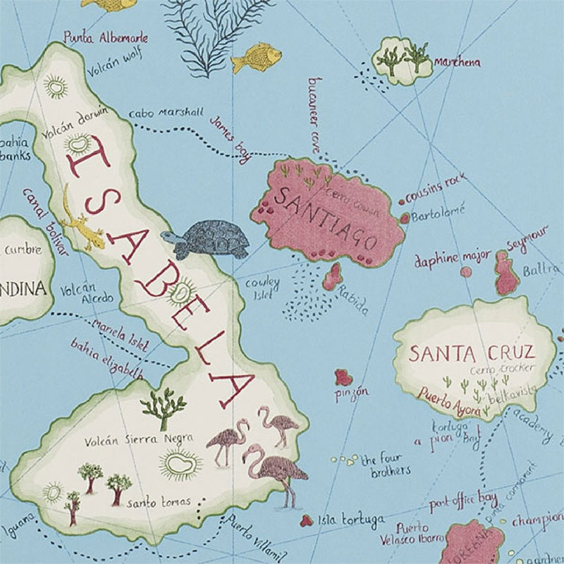 213366 ( DVOY213366 ) Galapagos Voyage of Discovery Wallpaper by Sanderson