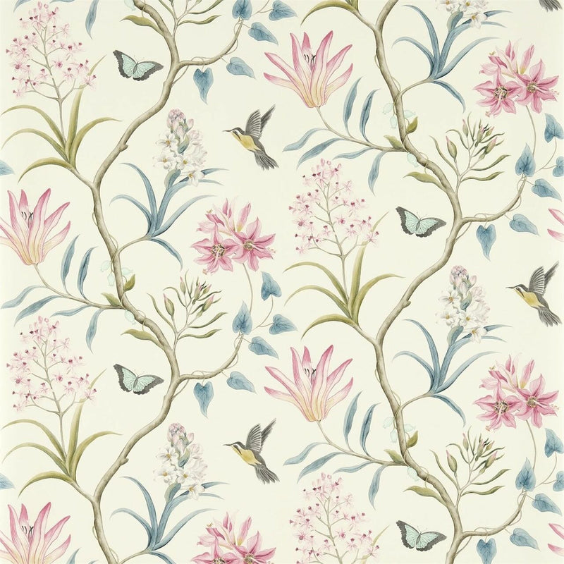 213386 Clementine One Sixty Wallpaper By Sanderson
