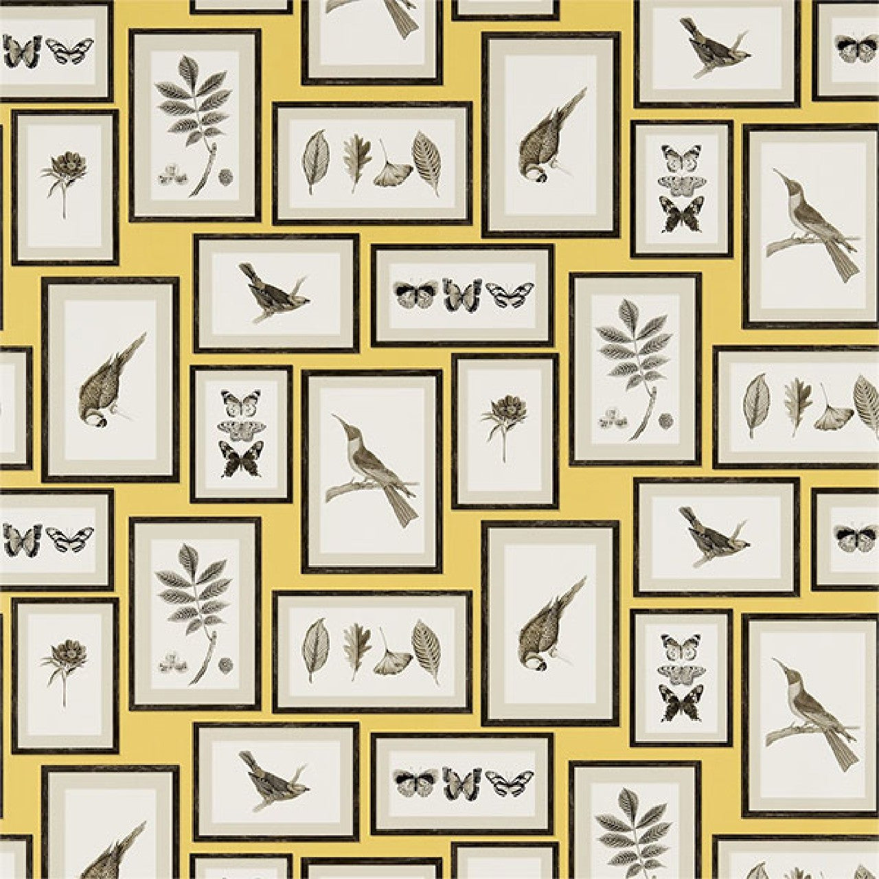 213396 ( DVOY213396 ) Picture Gallery Voyage of Discovery Wallpaper by Sanderson