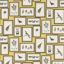 213396 ( DVOY213396 ) Picture Gallery Voyage of Discovery Wallpaper by Sanderson