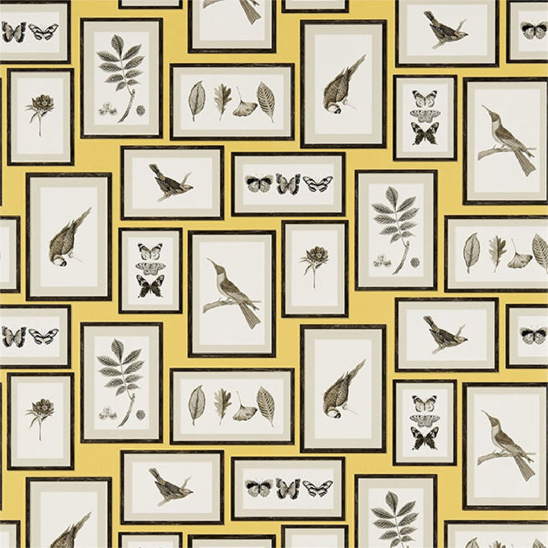 213396 ( DVOY213396 ) Picture Gallery Voyage of Discovery Wallpaper by Sanderson