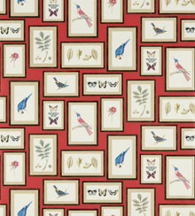 213398 Picture Gallery One Sixty Wallpaper By Sanderson