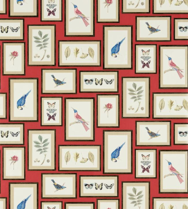 213398 Picture Gallery One Sixty Wallpaper By Sanderson