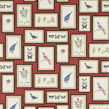 213398 ( DVOY213398 ) Picture Gallery Voyage of Discovery Wallpaper by Sanderson