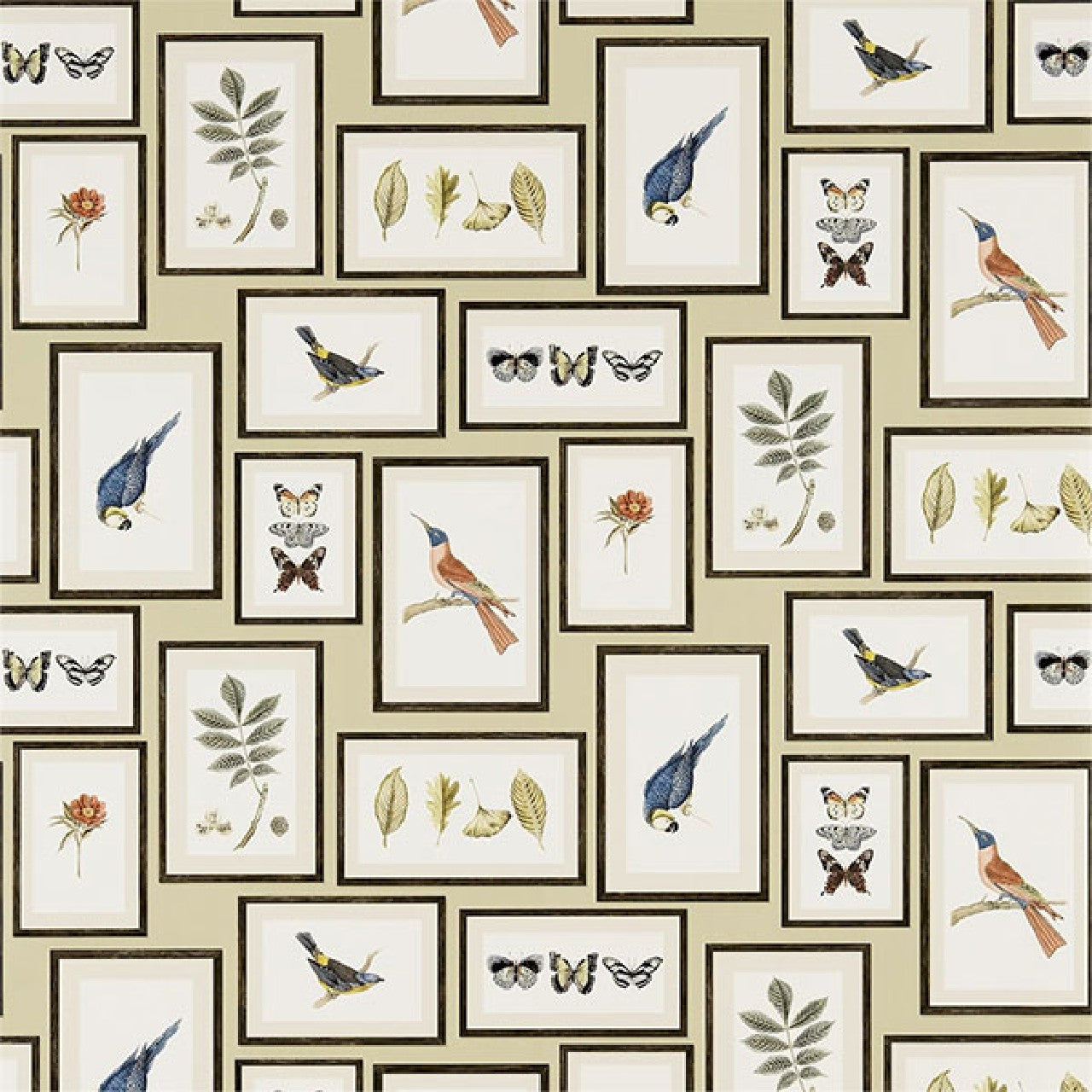 213399 ( DVOY213399 ) Picture Gallery Voyage of Discovery Wallpaper by Sanderson