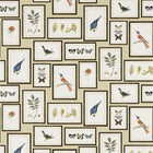 213399 ( DVOY213399 ) Picture Gallery Voyage of Discovery Wallpaper by Sanderson