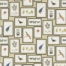 213399 ( DVOY213399 ) Picture Gallery One Sixty Wallpaper by Sanderson