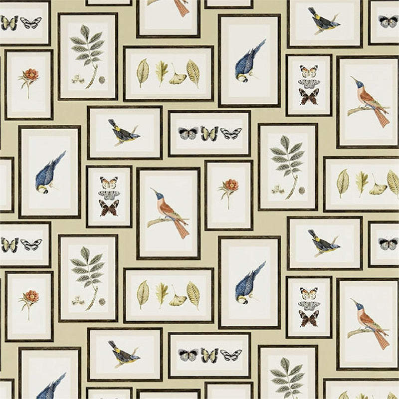 213399 ( DVOY213399 ) Picture Gallery One Sixty Wallpaper by Sanderson