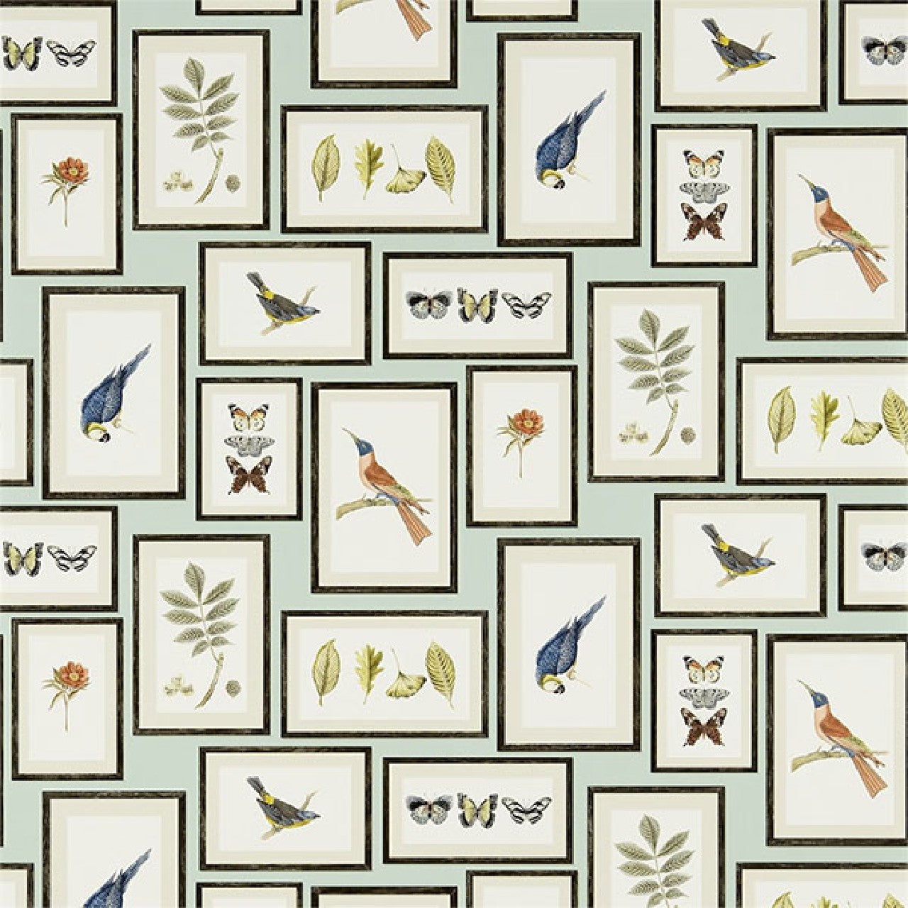 213400 ( DVOY213400 ) Picture Gallery Voyage of Discovery Wallpaper by Sanderson