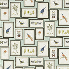 213400 ( DVOY213400 ) Picture Gallery Voyage of Discovery Wallpaper by Sanderson