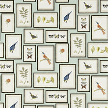 213400 ( DVOY213400 ) Picture Gallery Voyage of Discovery Wallpaper by Sanderson