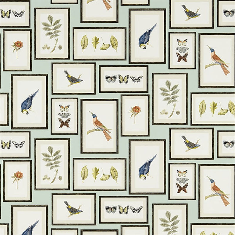 213400 ( DVOY213400 ) Picture Gallery Voyage of Discovery Wallpaper by Sanderson