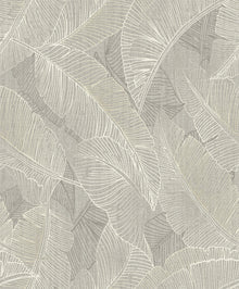 2142 Anaya Leaf Grey Wallpaper by Belgravia