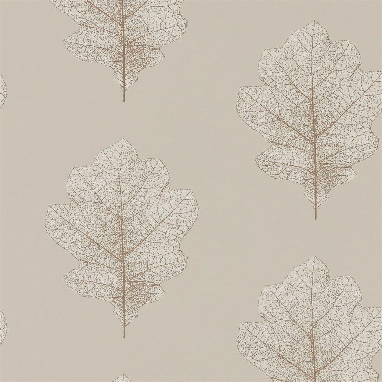 215698 ( DWOW215698 ) Oak Filigree Woodland Walk Wallpaper by Sanderson