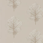 215698 ( DWOW215698 ) Oak Filigree Woodland Walk Wallpaper by Sanderson