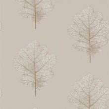 215698 ( DWOW215698 ) Oak Filigree Woodland Walk Wallpaper by Sanderson