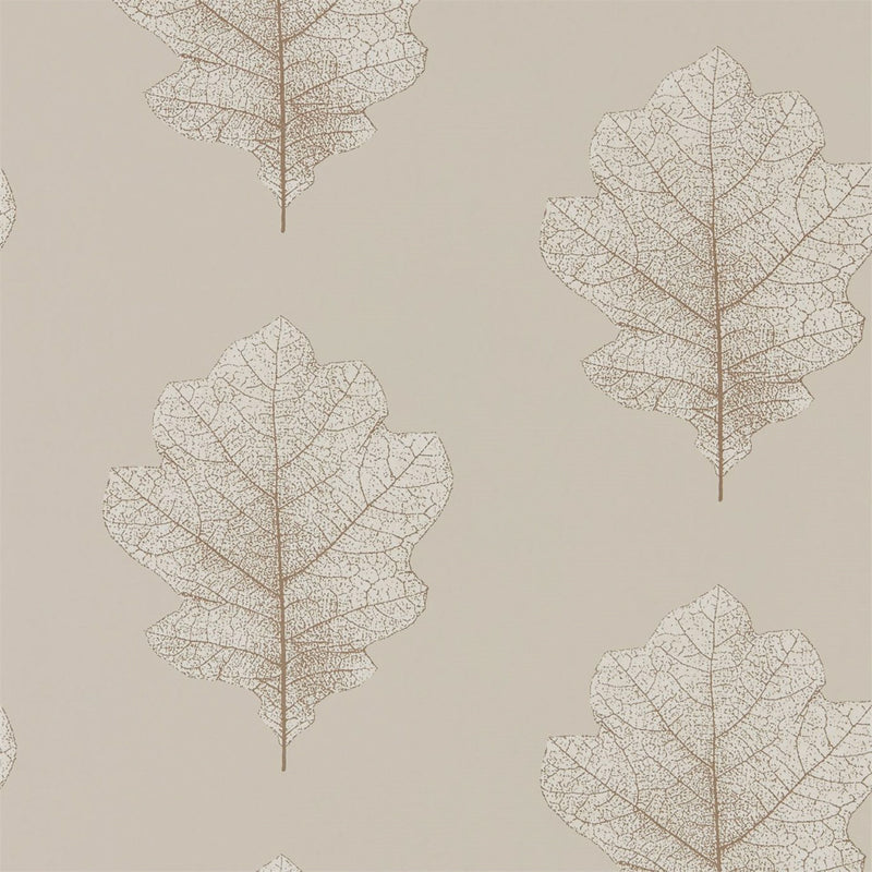 215698 ( DWOW215698 ) Oak Filigree Woodland Walk Wallpaper by Sanderson